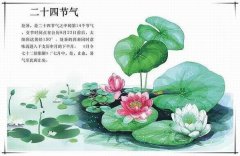 處暑之后注意祛暑，除燥潤津的藥膳推薦給家人～