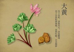 中藥界的CP，十組對藥應(yīng)用技巧