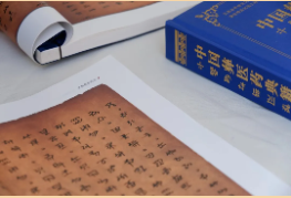 臨滄中醫(yī)夜市|交流借鑒促發(fā)展，鎮(zhèn)康專場(chǎng)啟新篇