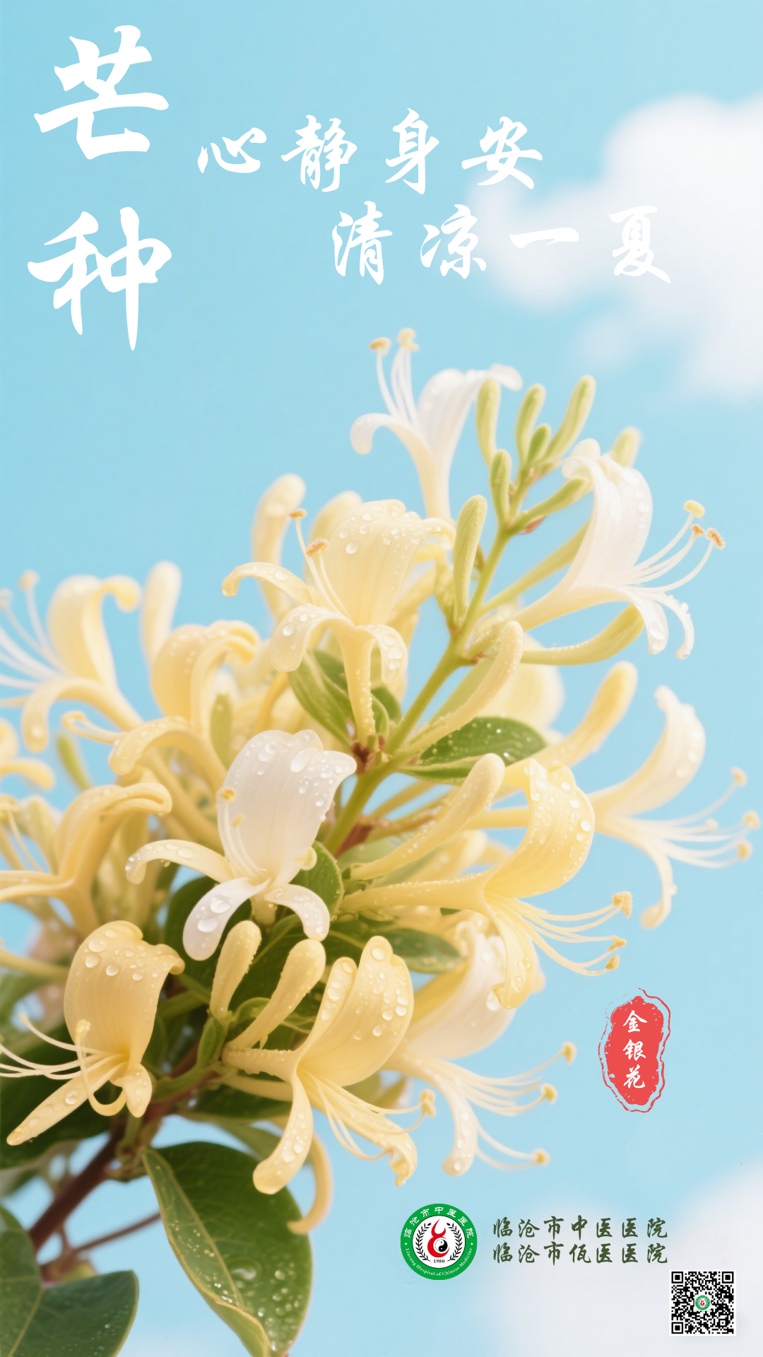 二十四節(jié)氣 | 芒種：心靜身安，清涼一夏！ 